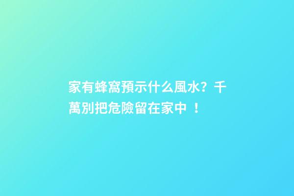 家有蜂窩預示什么風水？千萬別把危險留在家中！